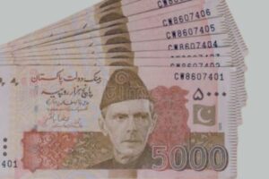 Pakistani rupees پاکستانی روپیہ